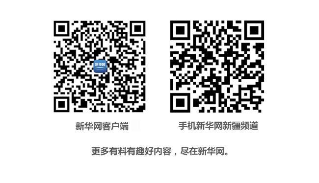 增值税发票管理系统2.0版正式落地新疆